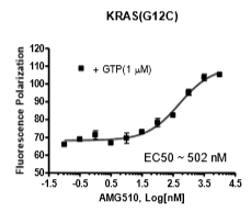 KRAS G12C Nucleotide Exchange Assay Kit BPS Bioscience Biomol