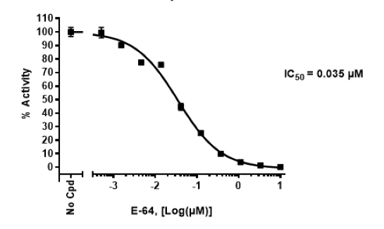 Cathepsin V Inhibitor Screening Assay Kit Bps Bioscience Biomol