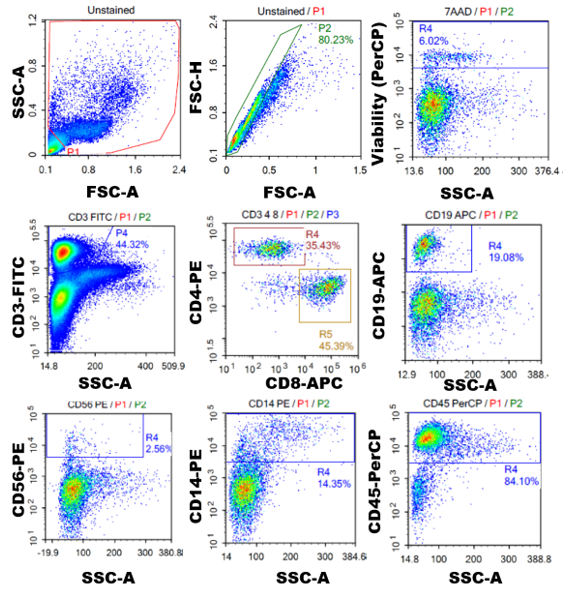 Normal Human Peripheral Blood Mononuclear Cells Frozen BPS