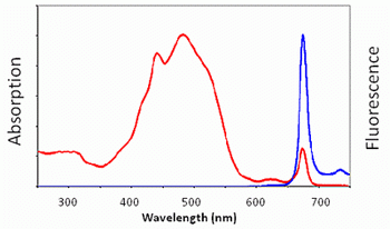 Percp Peridinin Chlorophyll Protein Complex Aat Bioquest Biomol