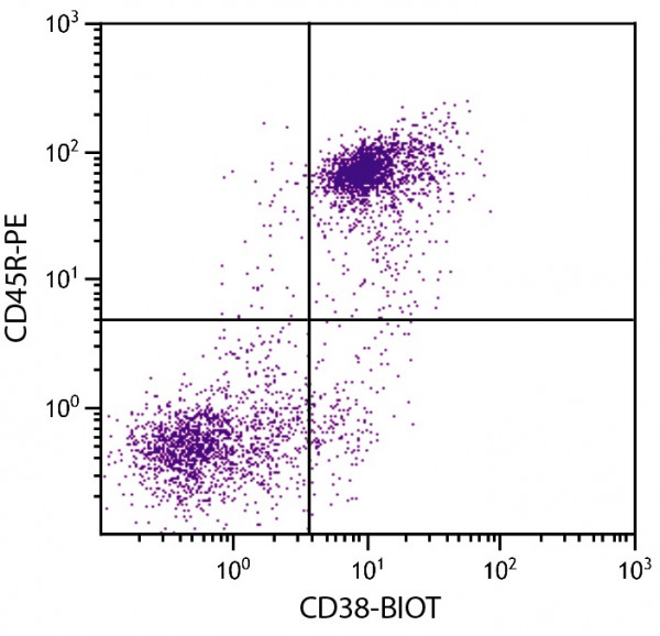 Anti-CD38 (Biotin), clone NIMR-5