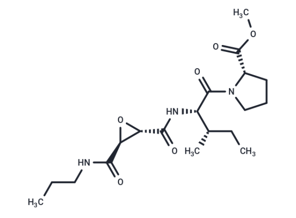 CA-074 methyl ester