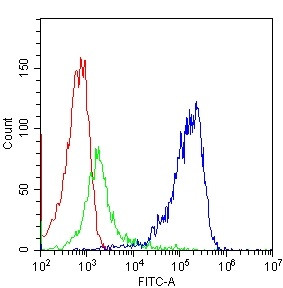 Anti-CD81