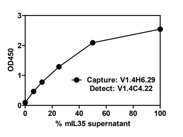 Anti-Mouse EBI-3 Biotin Conjugated, clone V1.4C4.22, Biotin Conjugated