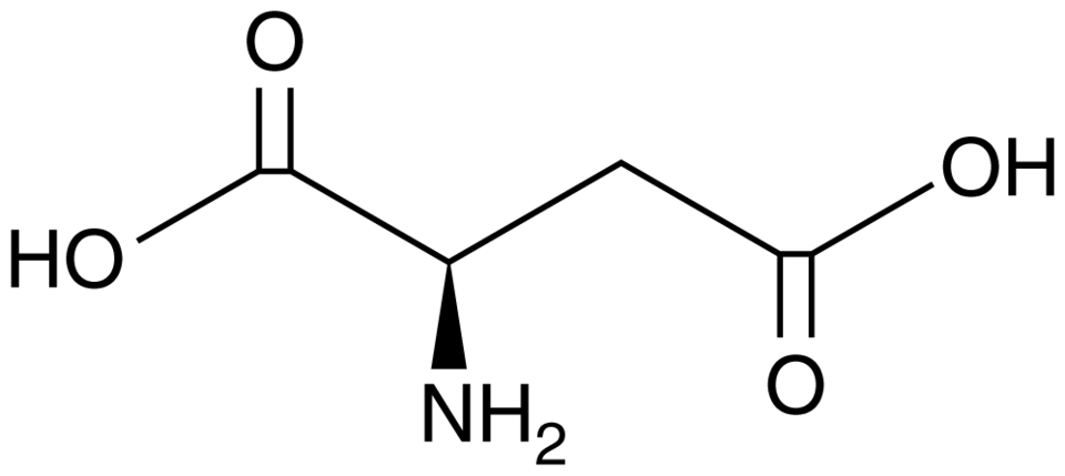 nmda d-aspartic acid