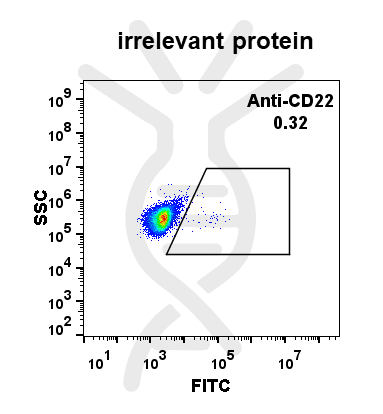 Anti-CD22 antibody(DM13), Rabbit mAb