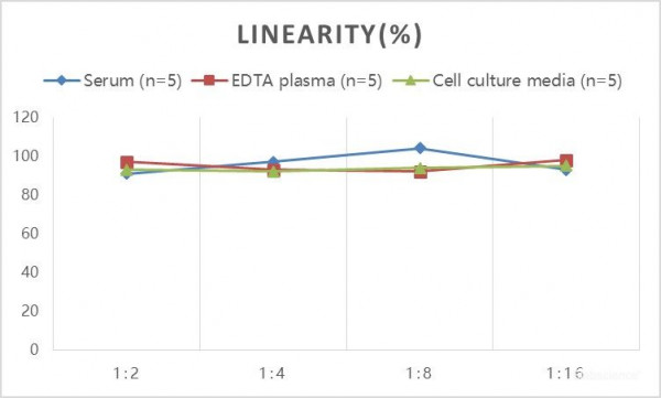 Mouse ALB (Albumin) ELISA Kit