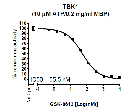 TBK1 Assay Kit