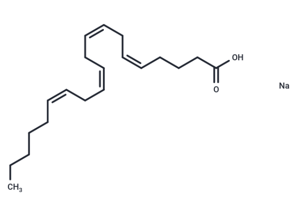 Arachidonic acid sodium salt