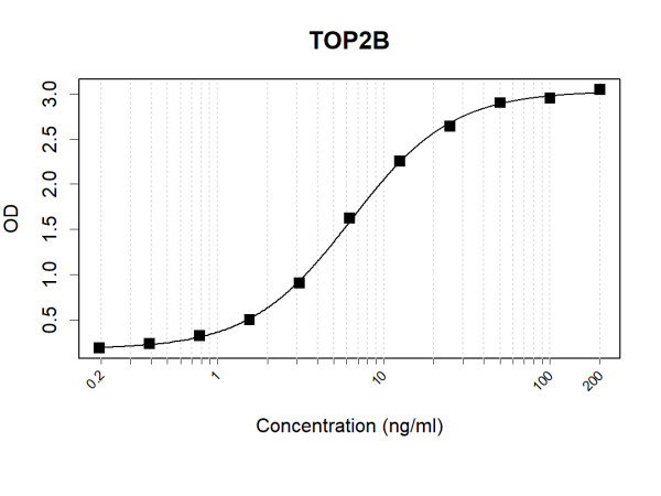 TOP2B (human) Antibody Pair