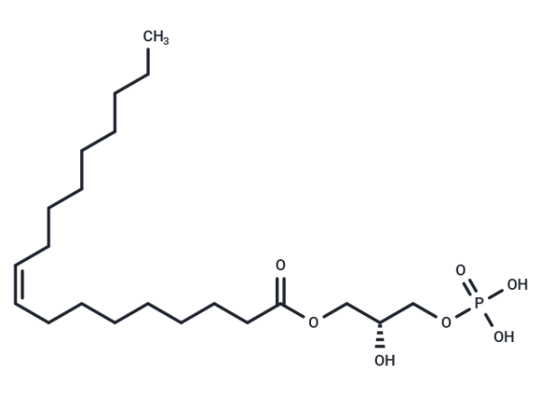 1-Oleoyl Lysophosphatidic Acid