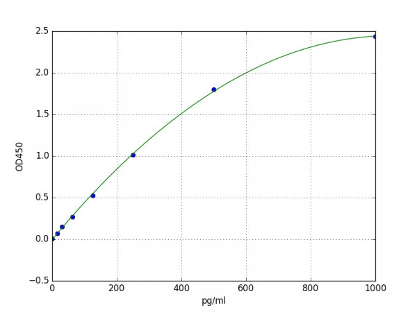 Mouse Cathepsin K ELISA Kit