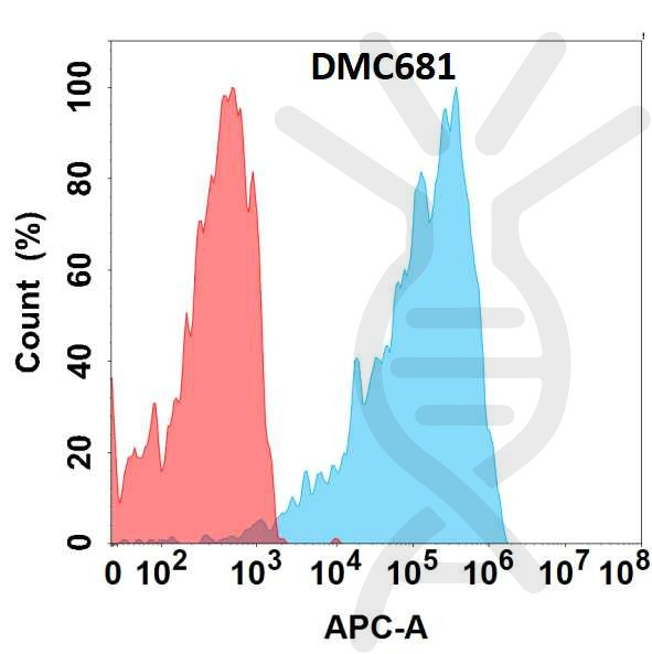 Anti-CXCR2 antibody(DMC681), IgG1 Chimeric mAb