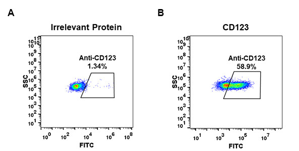 Anti-CD123 antibody(DM34), Rabbit mAb