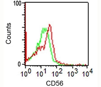 Anti-CD56, clone 123C3.D5
