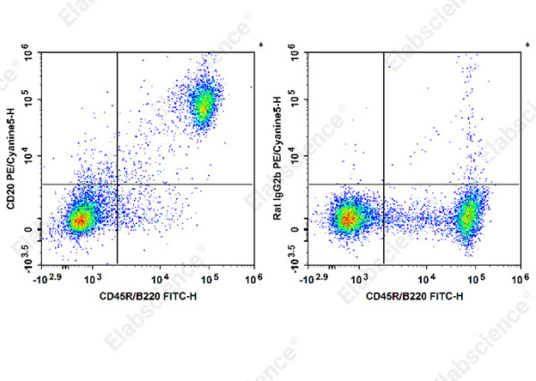 Anti-CD20, clone SA271G2, PE/Cyanine 5 conjugated