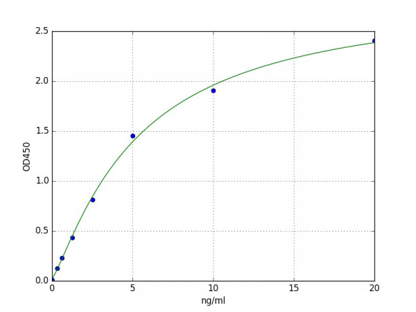 Mouse STAT1 ELISA Kit