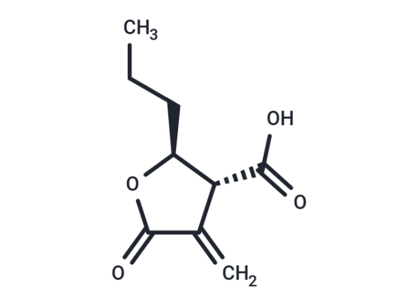 Butyrolactone 3