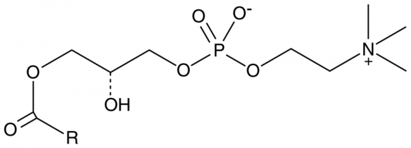 Lysophosphatidylcholine