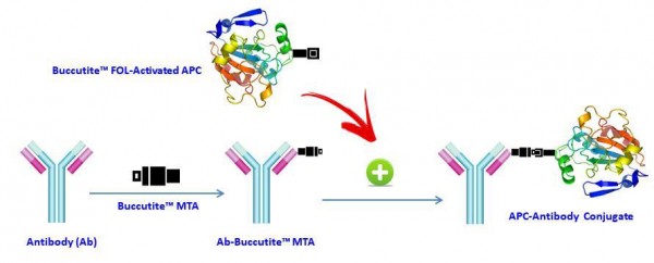 Buccutite(TM) Rapid APC-Cy5.5 Tandem Antibody Labeling Kit *Microscale Optimized for Labeling 100 ug
