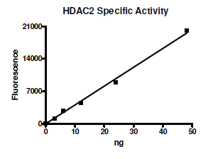 HDAC-2, active human recombinant protein, His Tag