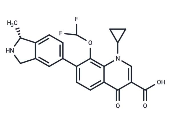 Garenoxacin