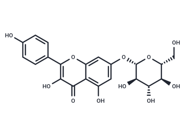 Kaempferol-7-O-beta-D-glucopyranoside