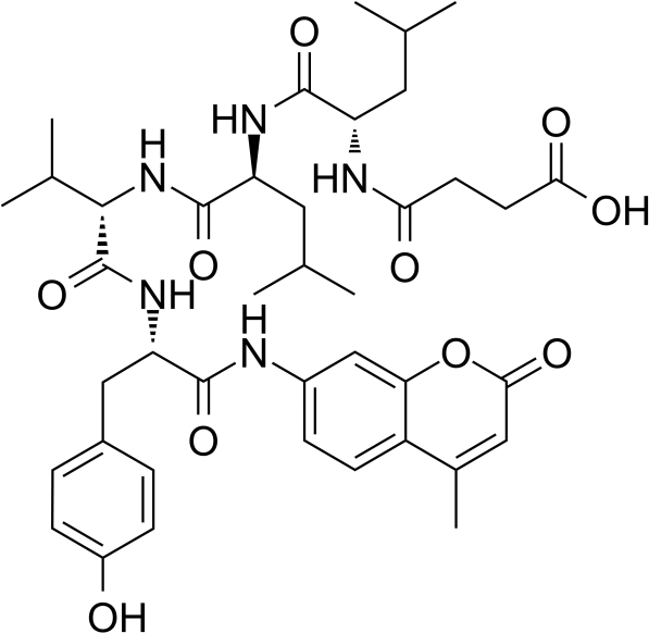 Suc-Leu-Leu-Val-Tyr-AMC