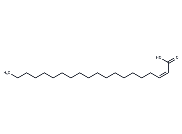 Delta2-cis Eicosenoic Acid