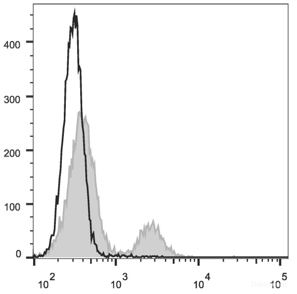 Anti-Rat CD8a (APC Conjugated)[OX-8], clone OX-8