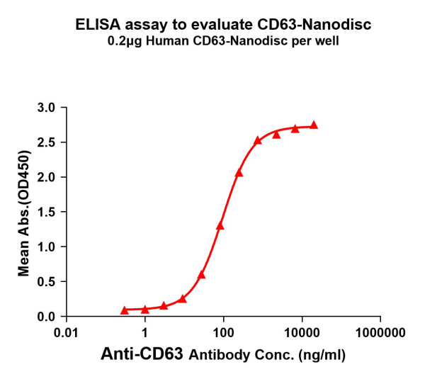 CD63 (human) full length protein-synthetic nanodisc