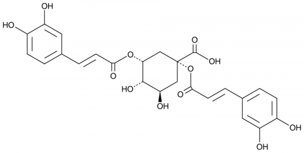 1,3-Dicaffeoylquinic Acid