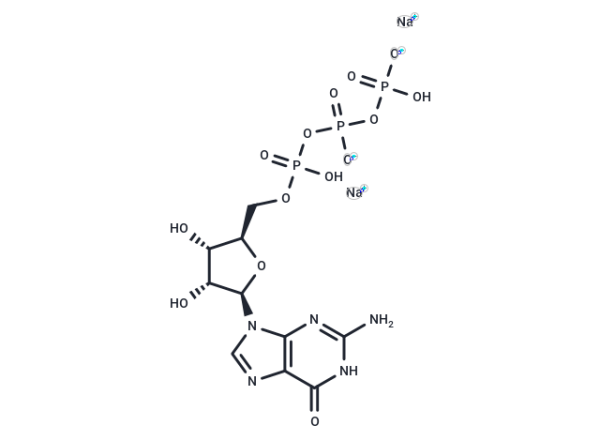 Guanosine-5&#039;-triphosphate disodium salt