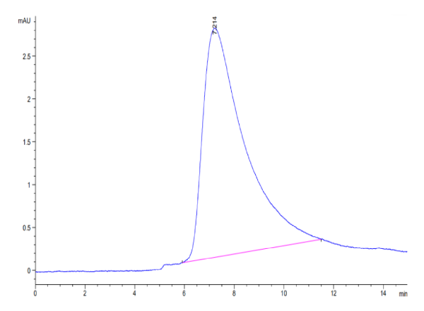 Human B7-H5/Gi24/VISTA Protein