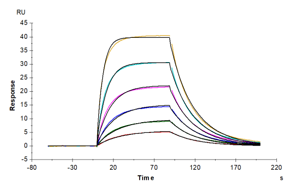 Mouse IL-2 R alpha/CD25 Protein