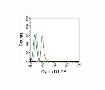 Anti-Cyclin D1 PE Conjugate, clone DCS-6