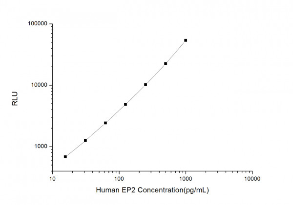 Human EP2 (Prostaglandin E Receptor 2) CLIA Kit