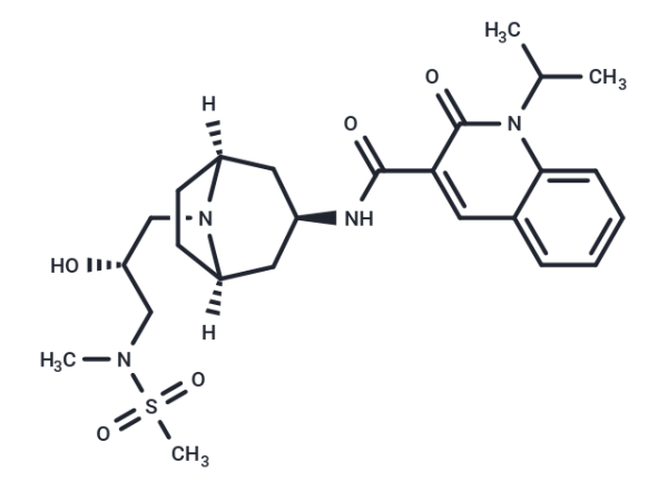 Velusetrag