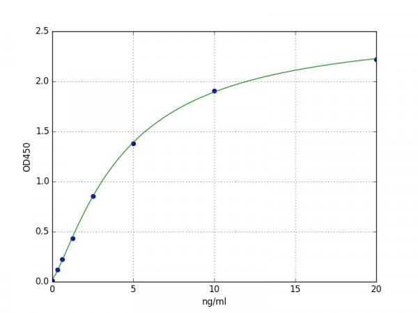 Rabbit ACE / Angiotensin Converting Enzyme 1 ELISA Kit