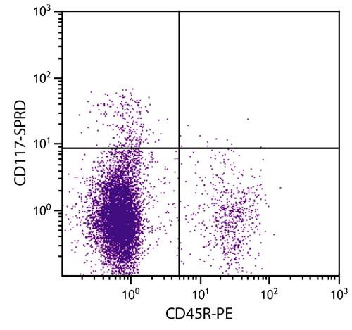 Anti-CD117 / c-Kit (Spectral Red), clone 2B8