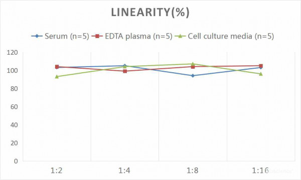 Human NOS1/nNOS (Nitric Oxide Synthase 1, Neuronal) CLIA Kit