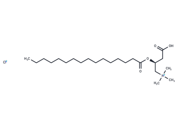 Palmitoyl-D-carnitine (chloride)