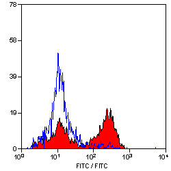 Anti-CD3, clone CA17.2A12