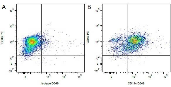 Anti-CD11c, clone CA11.6A1