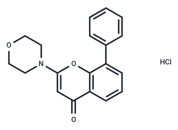 LY-294002 hydrochloride