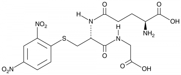 S-(2,4-Dinitrophenyl)-Glutathione