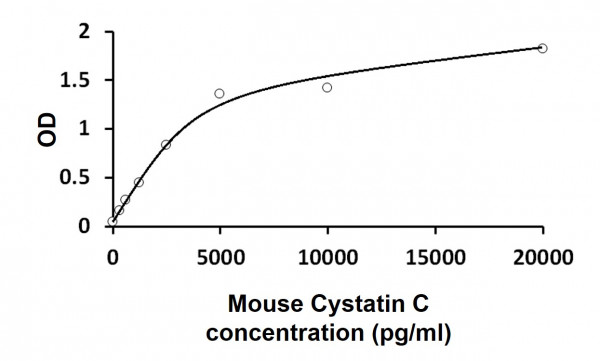 Mouse Cystatin C ELISA Kit