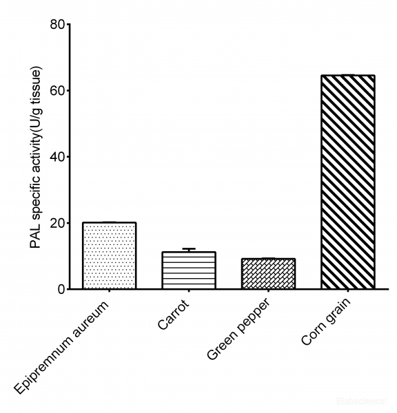 Phenylalnine Ammonia Lyase (PAL) Activity Assay Kit