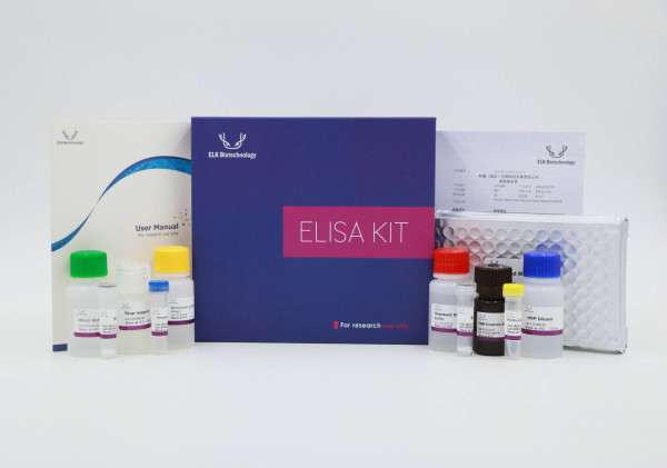 Cattle APOA4(Apolipoprotein A4) ELISA Kit