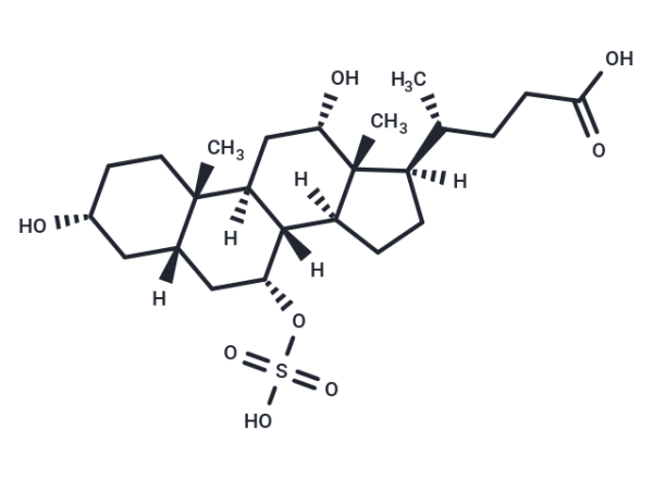 Cholic Acid 7-sulfate